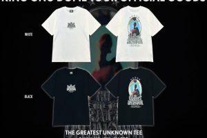 Discovering Hidden Gems: Dragon Is Dead Merch Shop Exploration